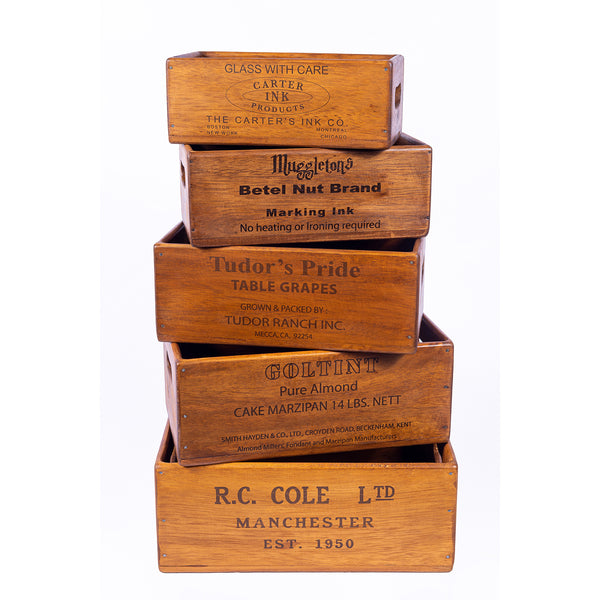 Set of 5 Nesting Shellfish Boxes - R.C Cole et al